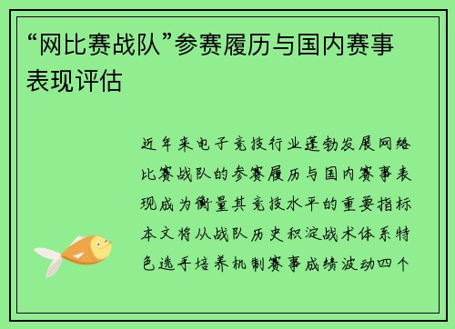 “网比赛战队”参赛履历与国内赛事表现评估